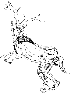 Shaman