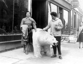 Barbara and Alicia with Tromso polar bear