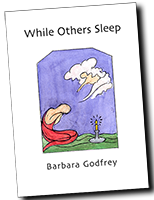 While Others Sleep