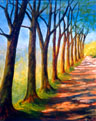 Avenue of Trees