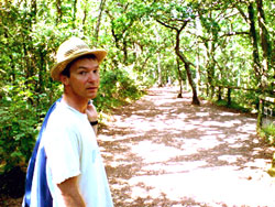 Pete on dappled path